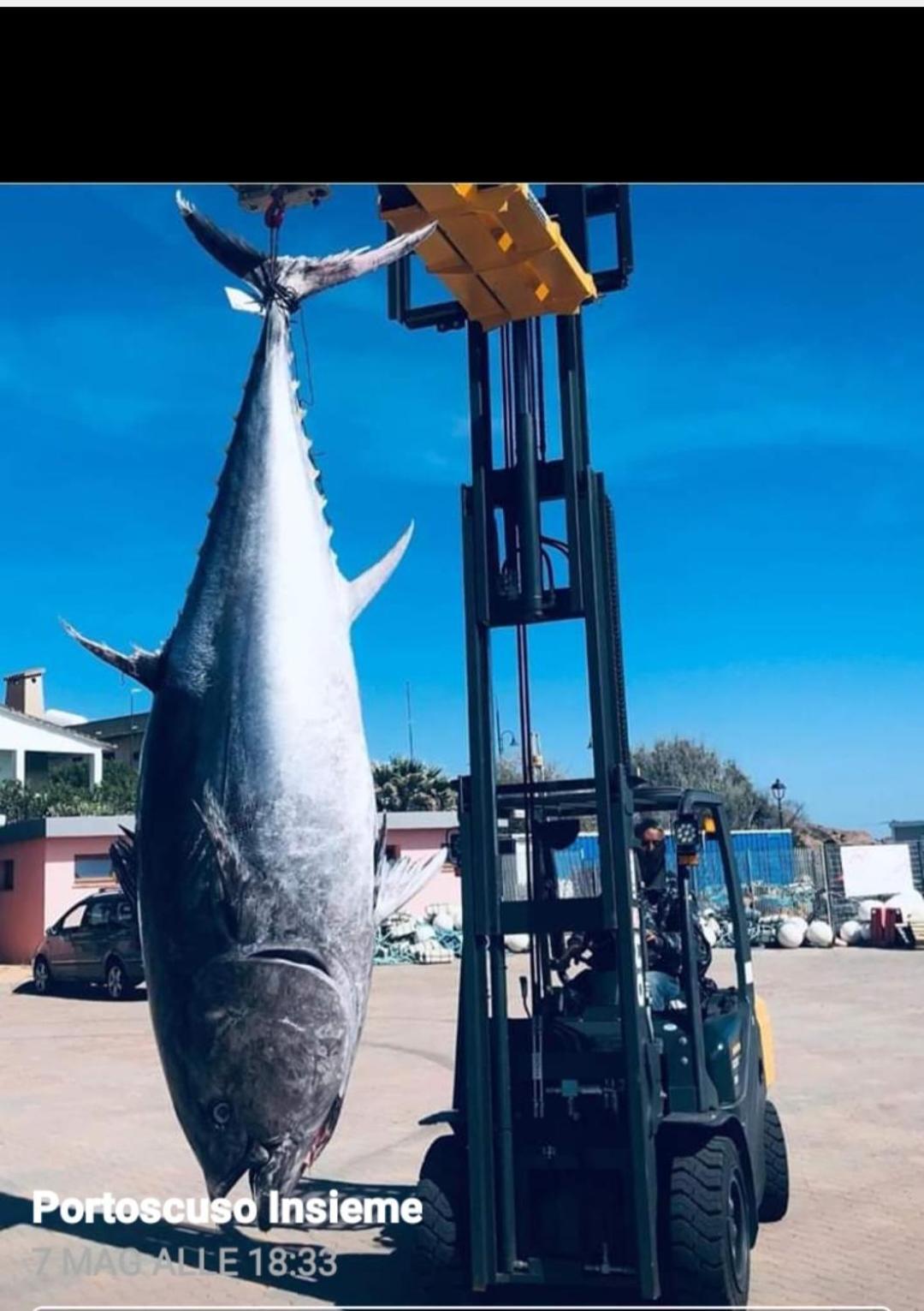 Nuovo Capo Altano Portoscuso